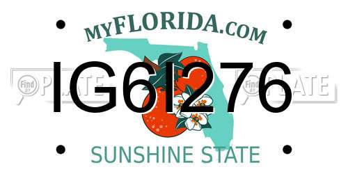 IG6I276 Florida License Plate