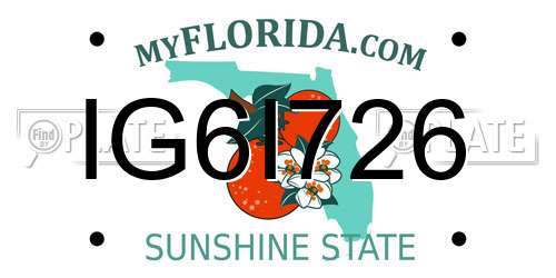 IG6I726 Florida License Plate