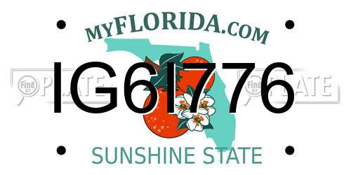 IG6I776 Florida License Plate