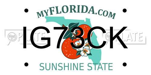 IG73CK Florida License Plate
