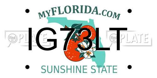 IG73LT Florida License Plate