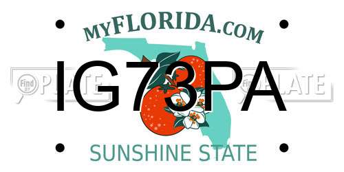 IG73PA Florida License Plate
