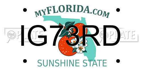 IG73RD Florida License Plate