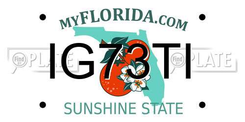 IG73TI Florida License Plate
