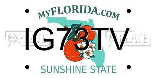 IG73TV Florida License Plate
