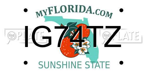 IG74TZ Florida License Plate