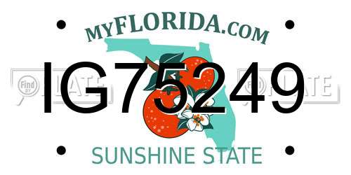 IG75249 Florida License Plate
