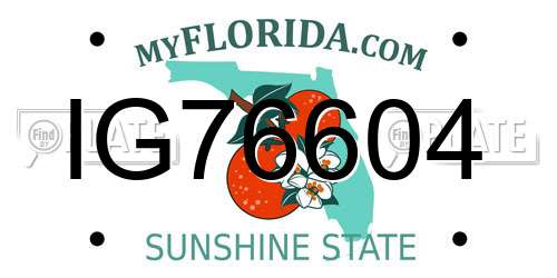 IG76604 Florida License Plate