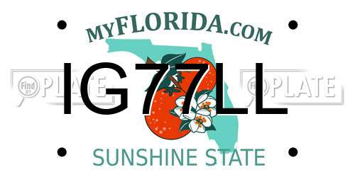 IG77LL Florida License Plate