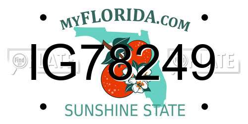 IG78249 Florida License Plate