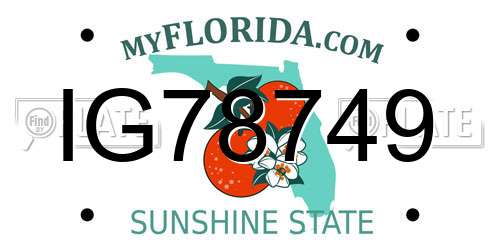 IG78749 Florida License Plate