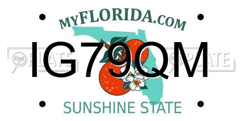 IG79QM Florida License Plate