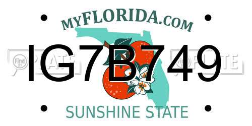 IG7B749 Florida License Plate