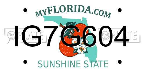 IG7G604 Florida License Plate