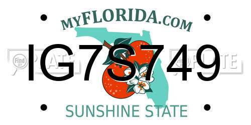 IG7S749 Florida License Plate