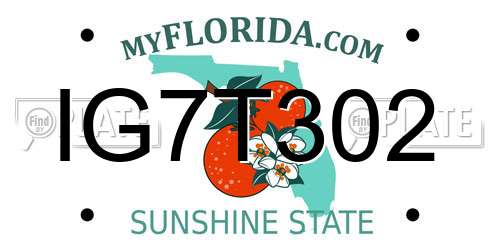 IG7T302 Florida License Plate