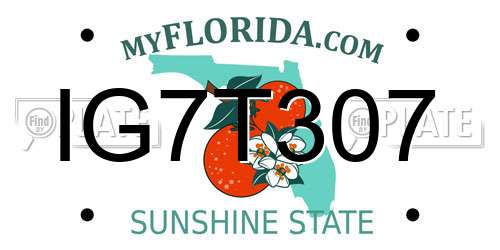 IG7T307 Florida License Plate