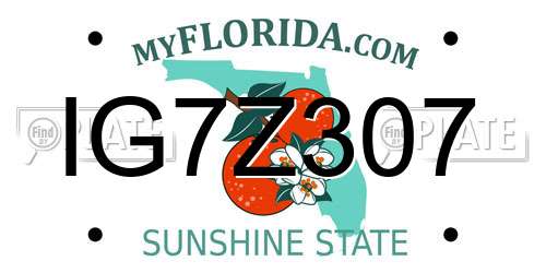 IG7Z307 Florida License Plate