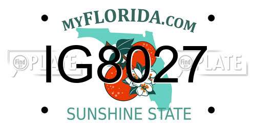 IG8027 Florida License Plate