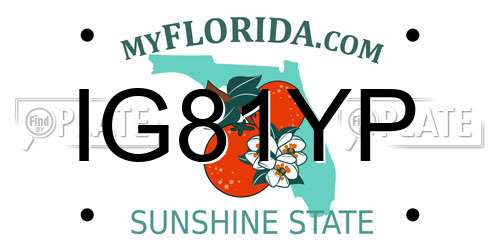 IG81YP Florida License Plate