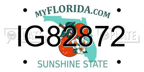 IG82872 Florida License Plate