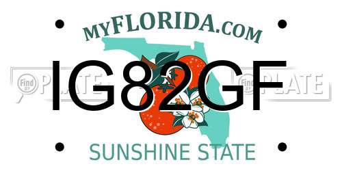 IG82GF Florida License Plate