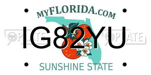 IG82YU Florida License Plate