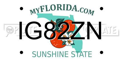 IG82ZN Florida License Plate