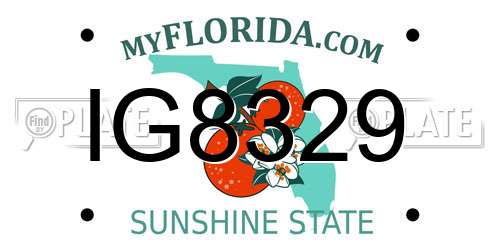 IG8329 Florida License Plate