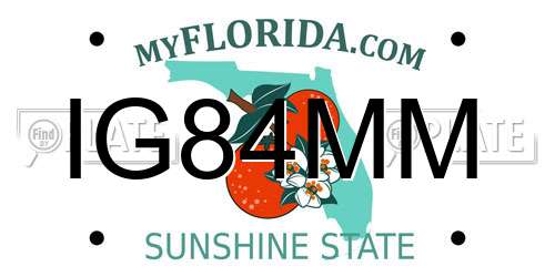 IG84MM Florida License Plate