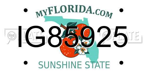 IG85925 Florida License Plate