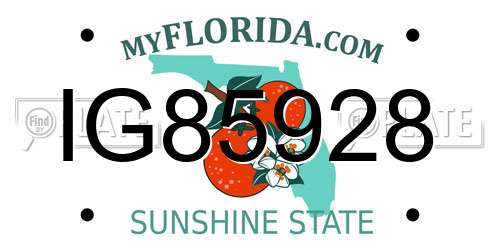IG85928 Florida License Plate