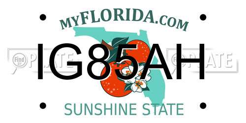 IG85AH Florida License Plate