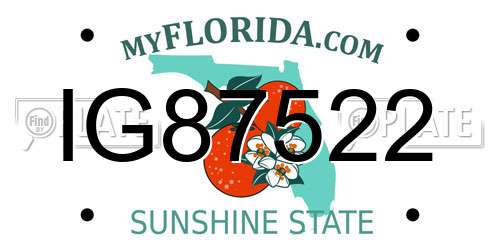 IG87522 Florida License Plate