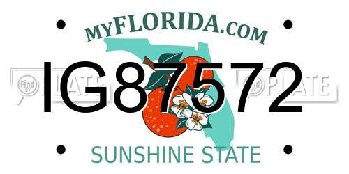 IG87572 Florida License Plate