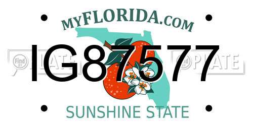 IG87577 Florida License Plate