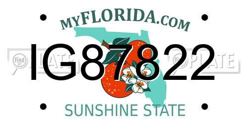 IG87822 Florida License Plate