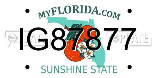 IG87877 Florida License Plate