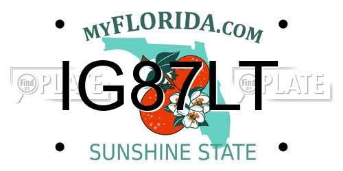 IG87LT Florida License Plate