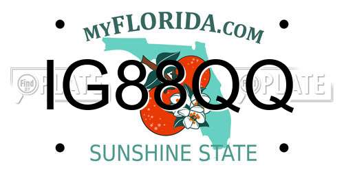 IG88QQ Florida License Plate