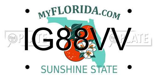 IG88VV Florida License Plate