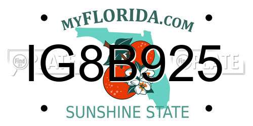 IG8B925 Florida License Plate