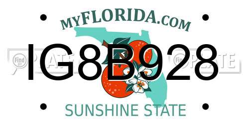 IG8B928 Florida License Plate