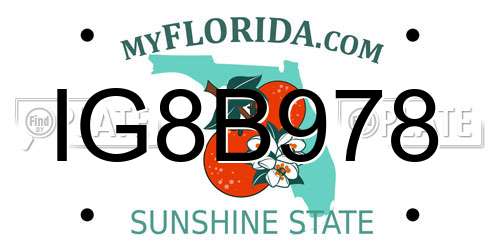 IG8B978 Florida License Plate
