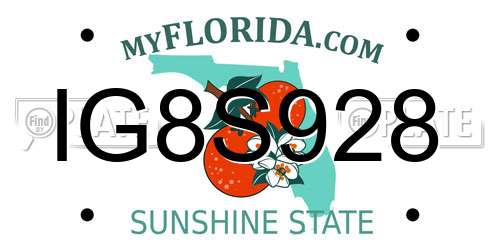 IG8S928 Florida License Plate