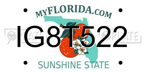 IG8T522 Florida License Plate