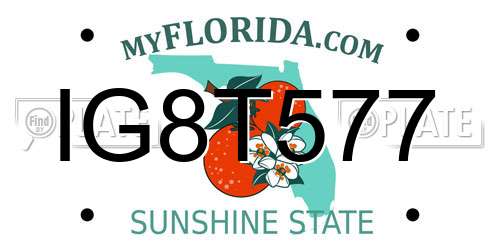 IG8T577 Florida License Plate