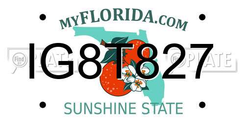 IG8T827 Florida License Plate