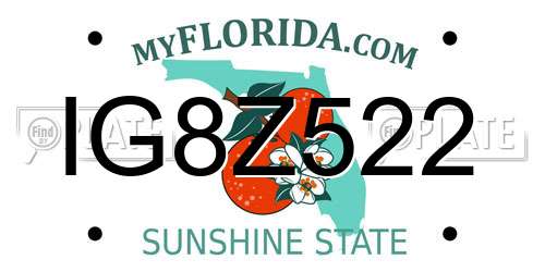 IG8Z522 Florida License Plate