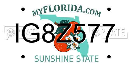 IG8Z577 Florida License Plate